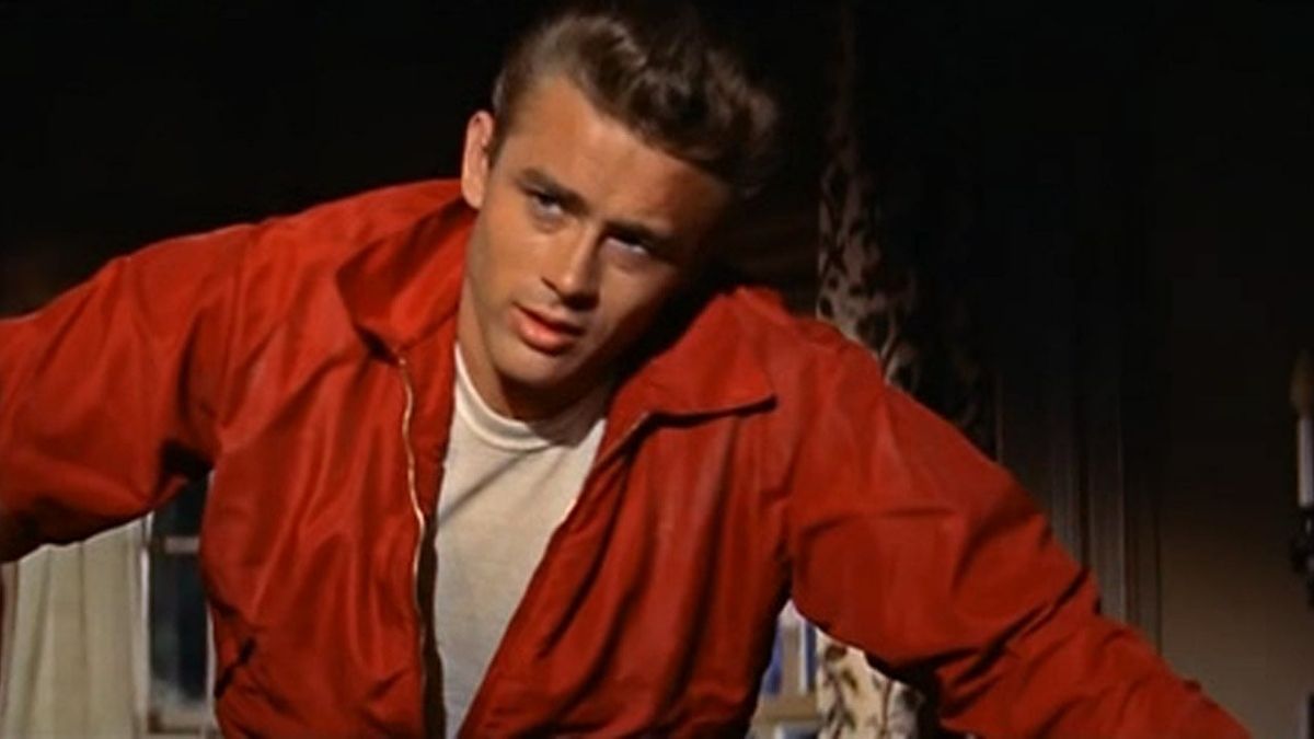 Rebel Without a Cause Monologues